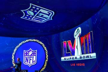 NFL connects Las Vegas minority owned businesses to potential Super Bowl  LVIII contracts