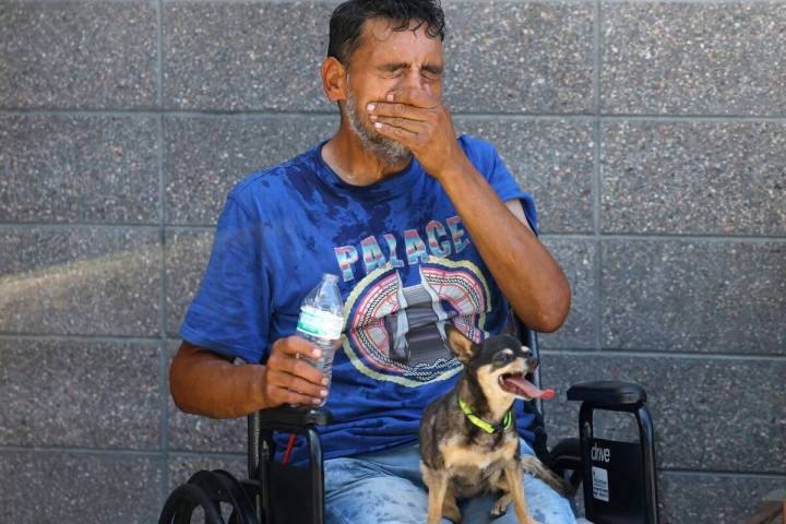 Polly sits on her owner Daniel Zamora's lap as he cools himself with water during a hot day at ...